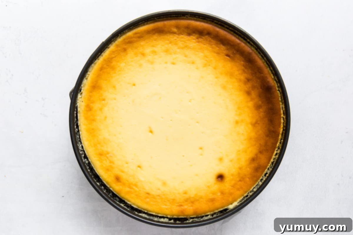 Big Apple's Creamy Delight 12 how to make new york style cheesecake