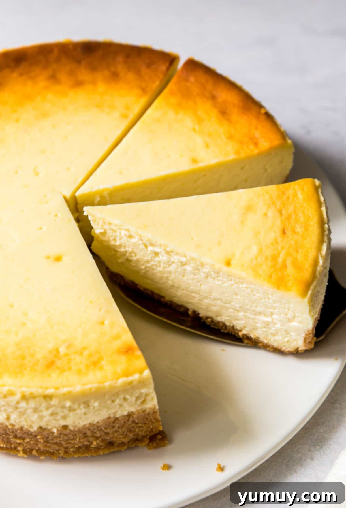 Big Apple's Creamy Delight 3 sliced new york style cheesecake