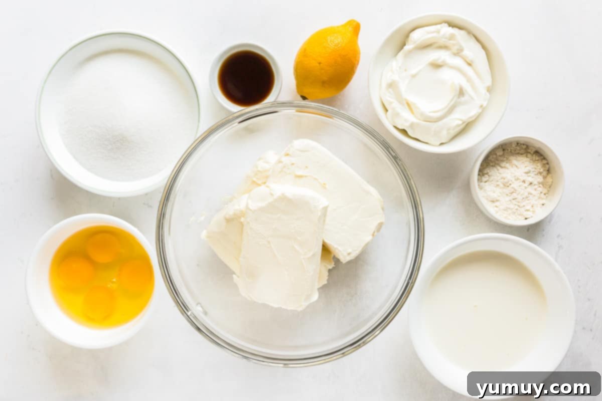 Big Apple's Creamy Delight 9 how to make new york style cheesecake