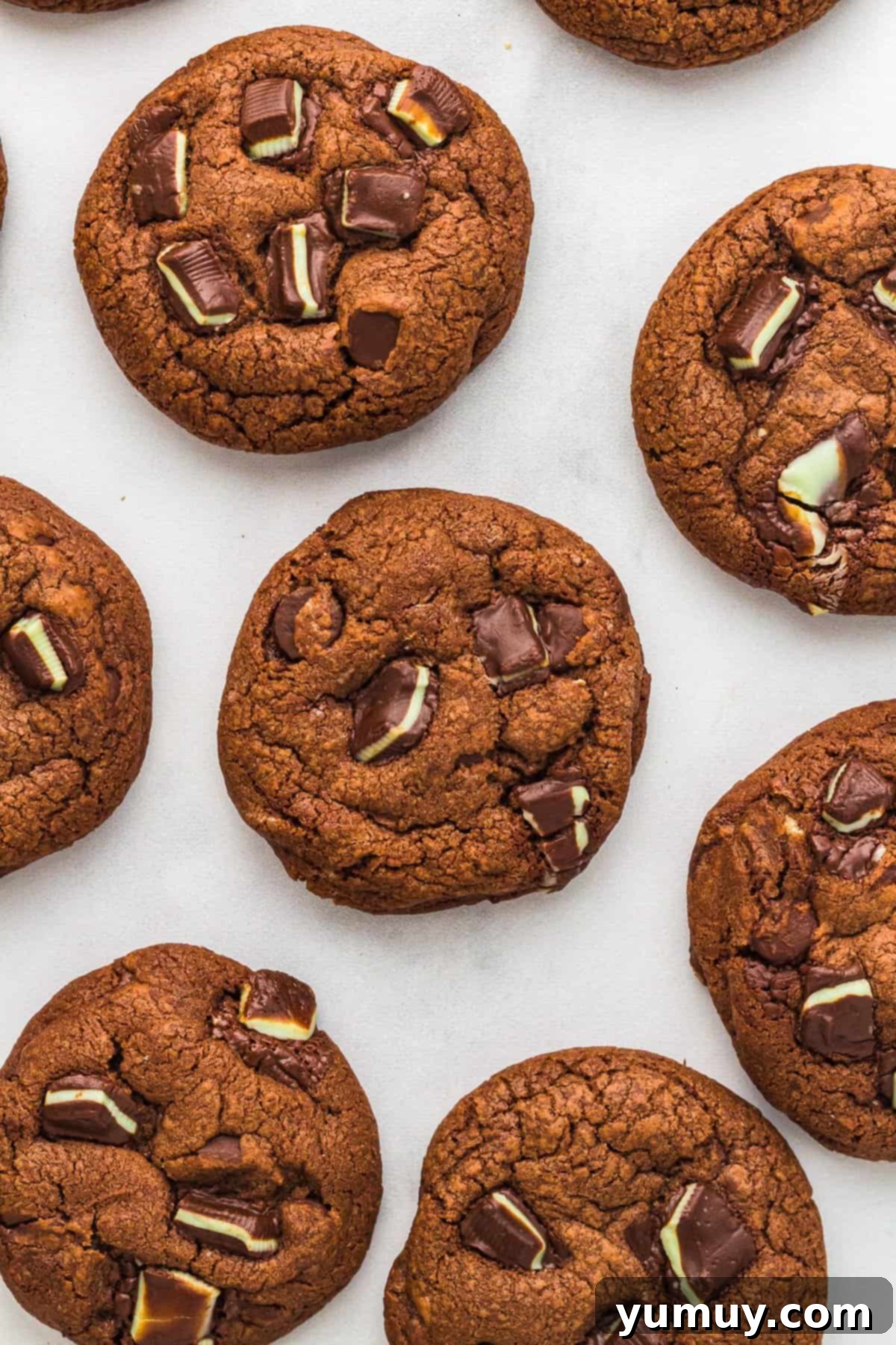 overhead view of andes mint cookies, showing the melted Andes mint candies on top of chocolate cookies