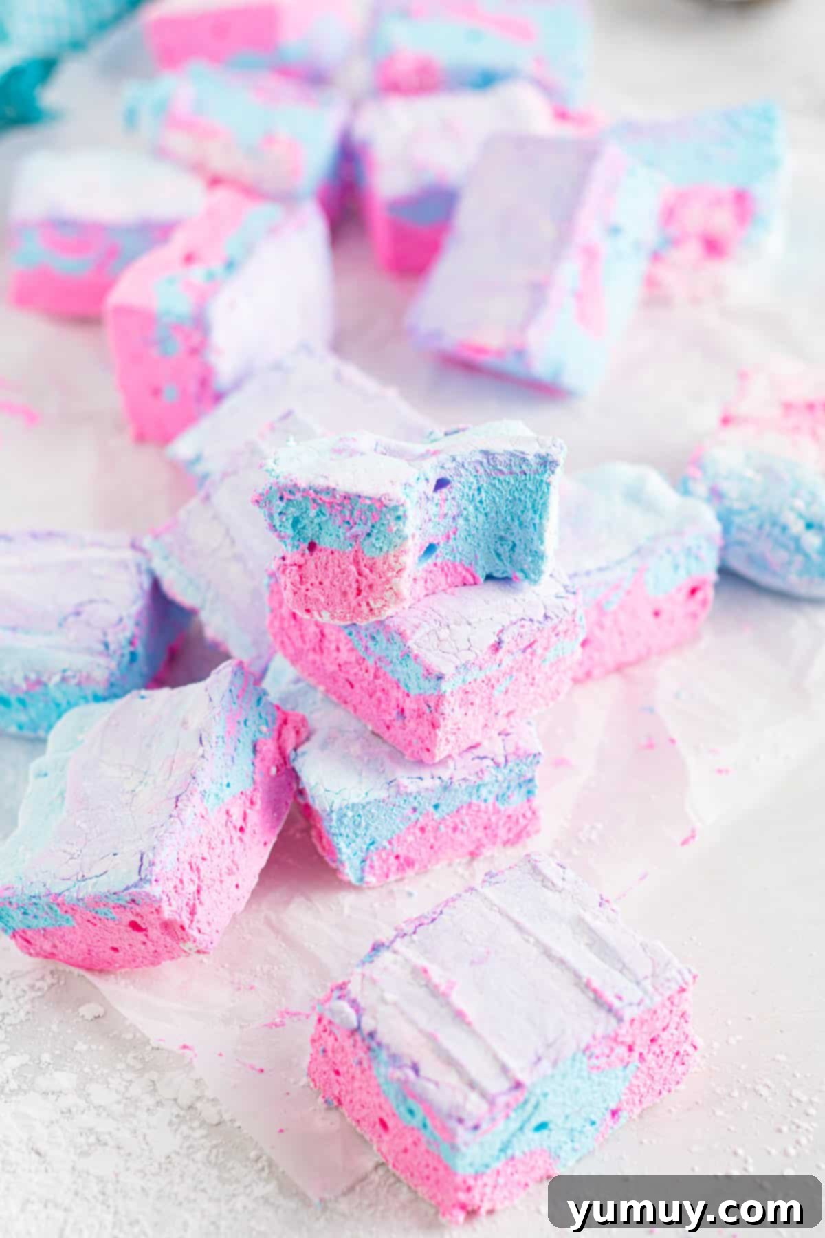 Spun Sugar Pillows 3 A charming pile of pink and blue swirled cotton candy marshmallows, with one partially eaten marshmallow on top, inviting a bite.