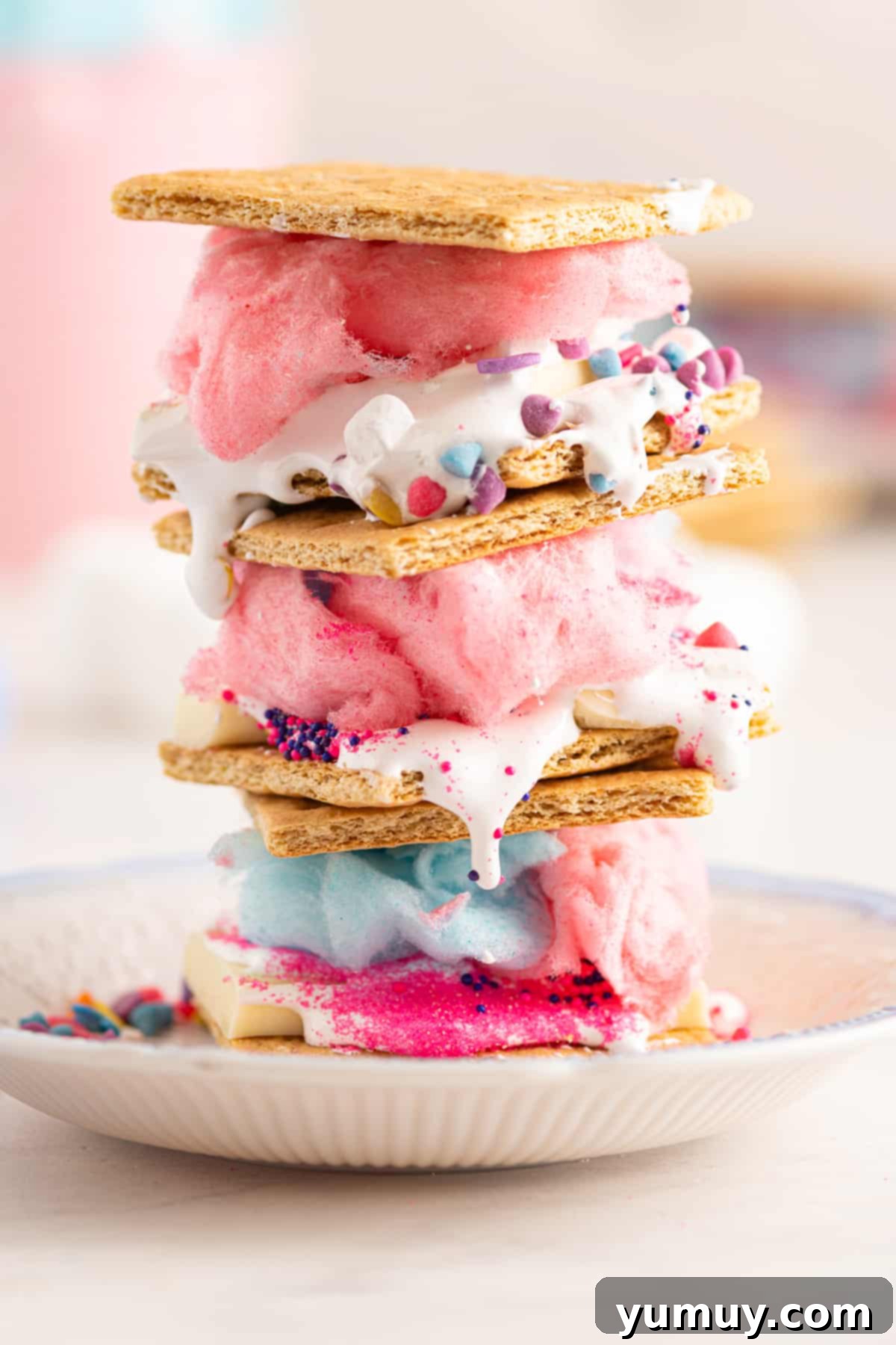 Cloud Nine S'mores 3 stack of 3 cotton candy s'mores on a white plate
