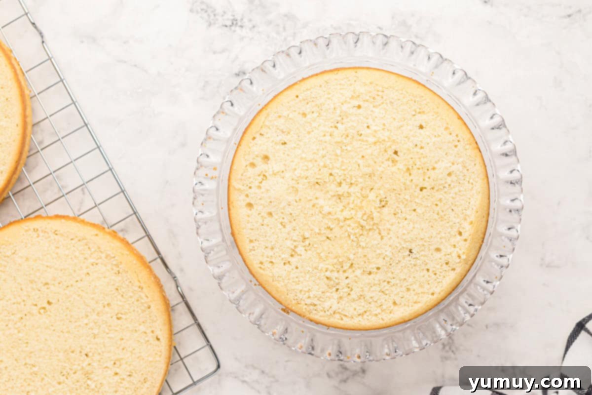 A perfectly leveled layer of easy homemade wedding cake, showcasing its smooth top on a elegant glass cake stand, ready for assembly.