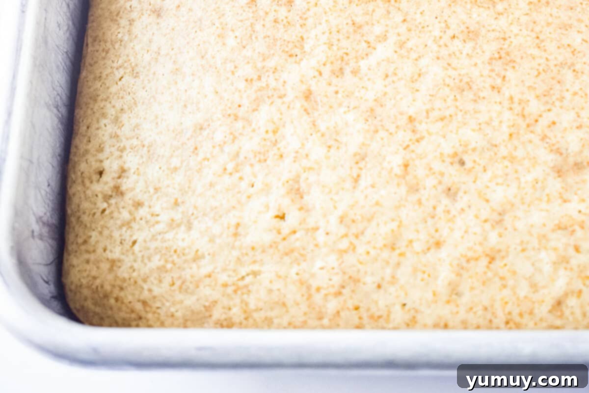 A golden-brown, baked eggnog sheet cake rests in a 9x13 inch pan, cooling down after being freshly removed from the oven.