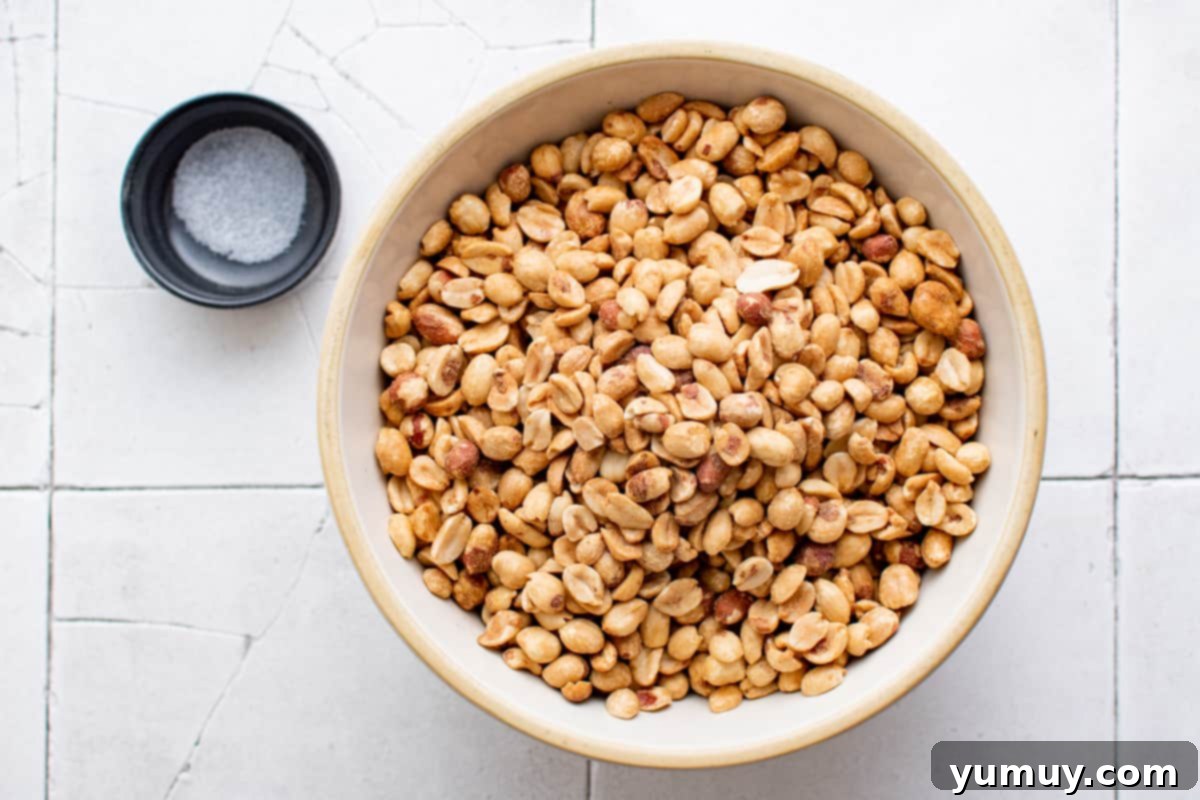 Craft Your Own Peanut Butter 7 A bowl filled with dry-roasted peanuts sits beside a small bowl of kosher salt, ready for blending.