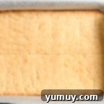 Baked lemon shortbread cookies, just out of the oven, expertly sliced into long rectangles on the baking pan.