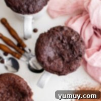 microwave brownies in a mug