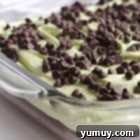 close up mint chocolate chip brownies in a glass pan