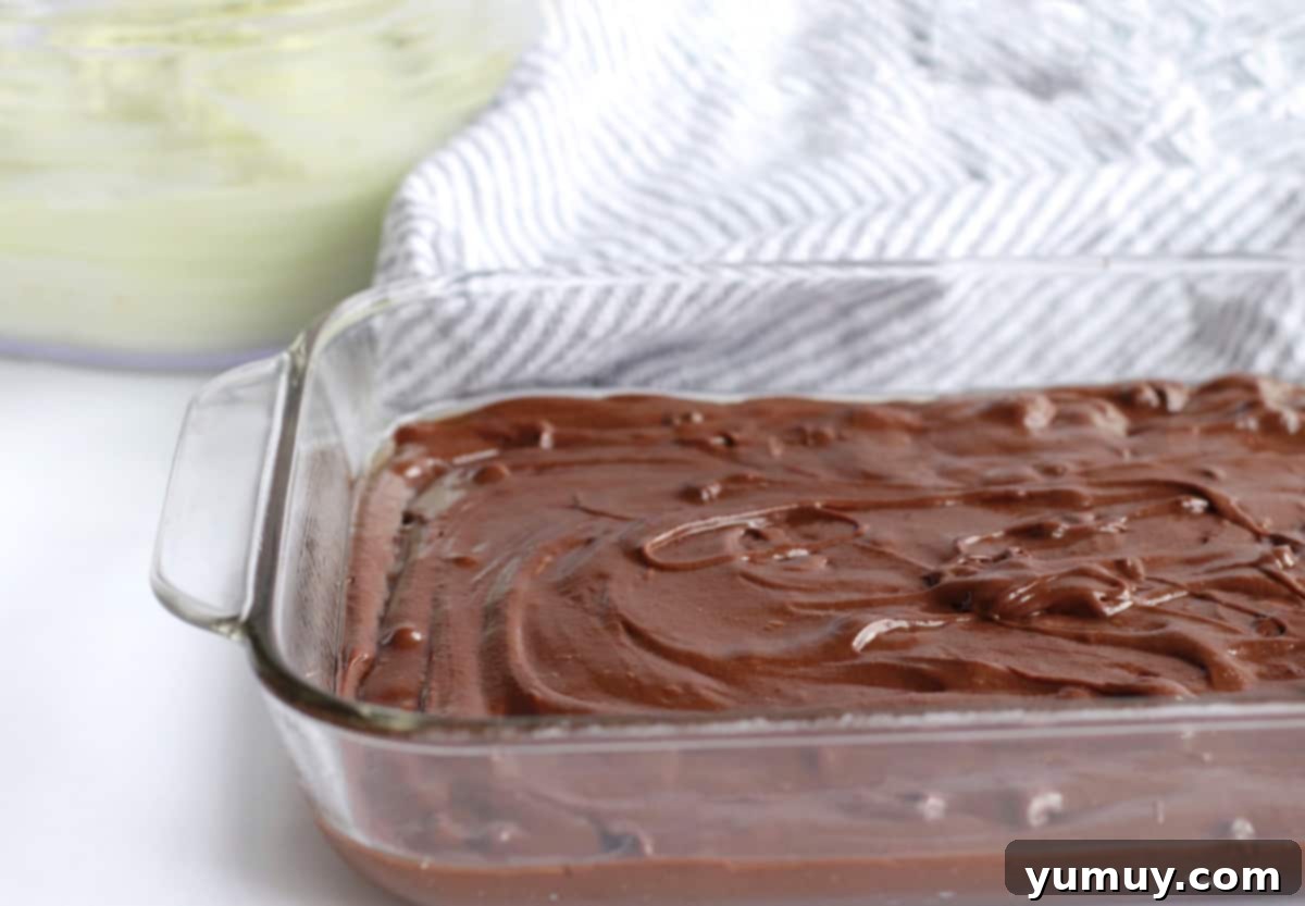 brownie batter in a pan, before baking