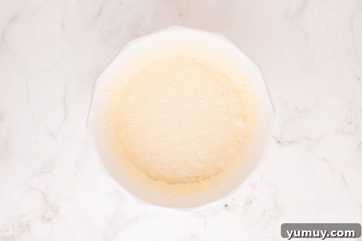 A pristine white bowl filled with a perfectly smooth and creamy cheesecake filling, ready for the next step.