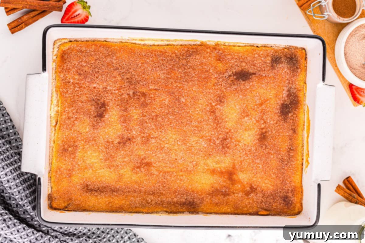 Freshly broiled churro cheesecake bars in a rectangular baking dish, showcasing a perfect cinnamon sugar topping that's melted and golden.