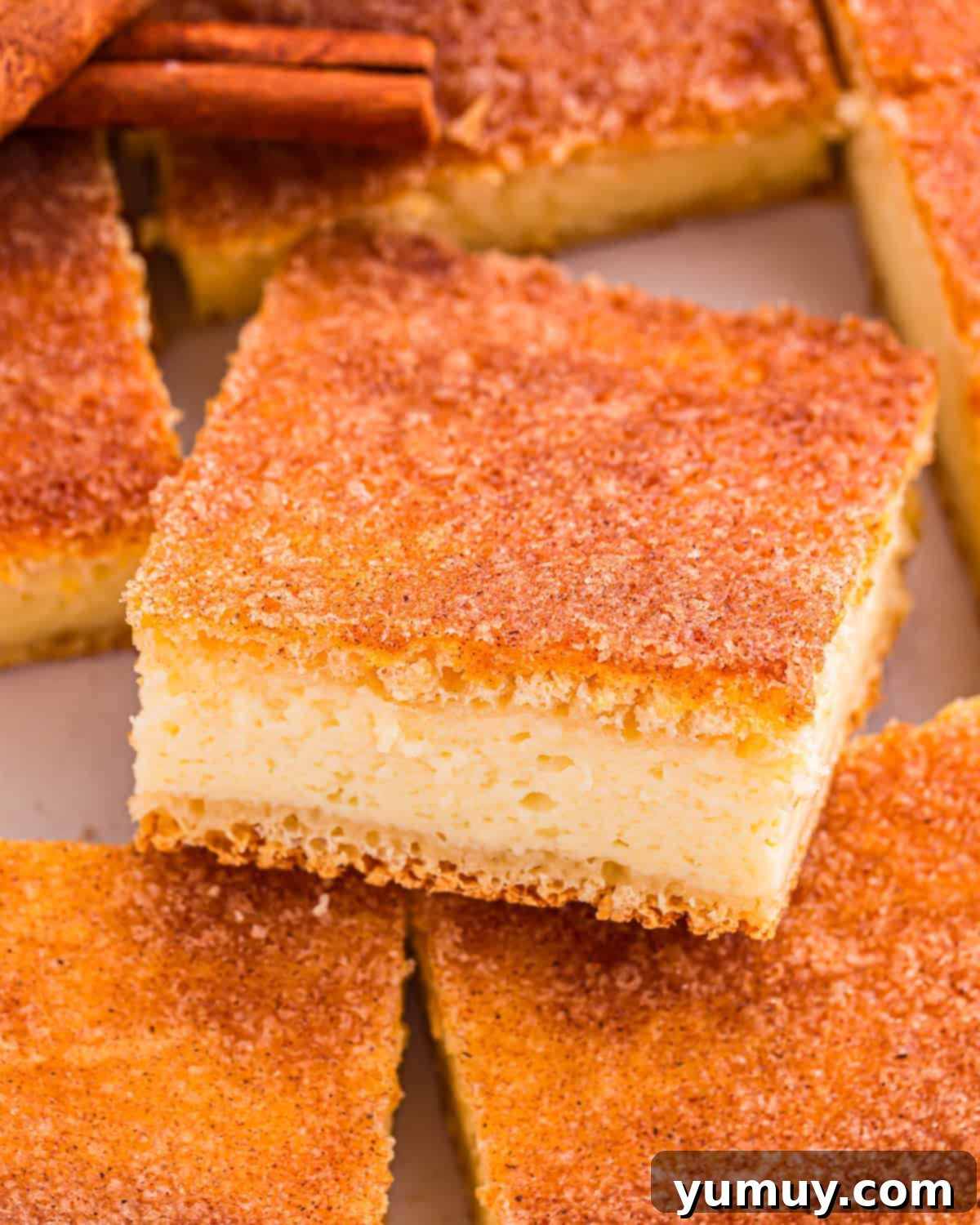 A golden cinnamon churro cheesecake bar resting on more delicious bars, showcasing the perfect baked texture.