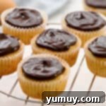 Completed Boston cream cupcakes with luscious chocolate ganache frosting, arranged on a wire rack.