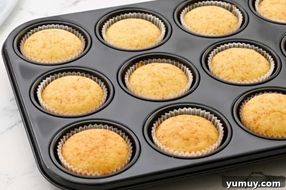 Freshly baked and golden brown cupcakes cooling in their tin.
