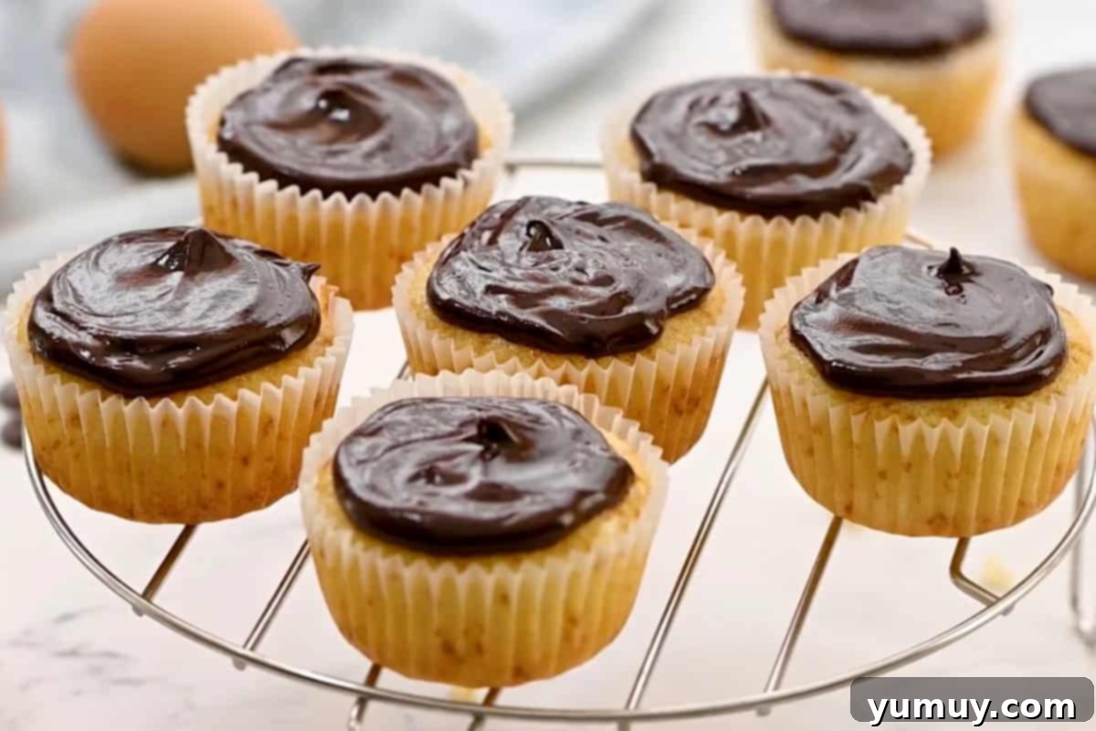 Fully assembled Boston cream cupcakes topped with glossy chocolate ganache, cooling on a wire rack.