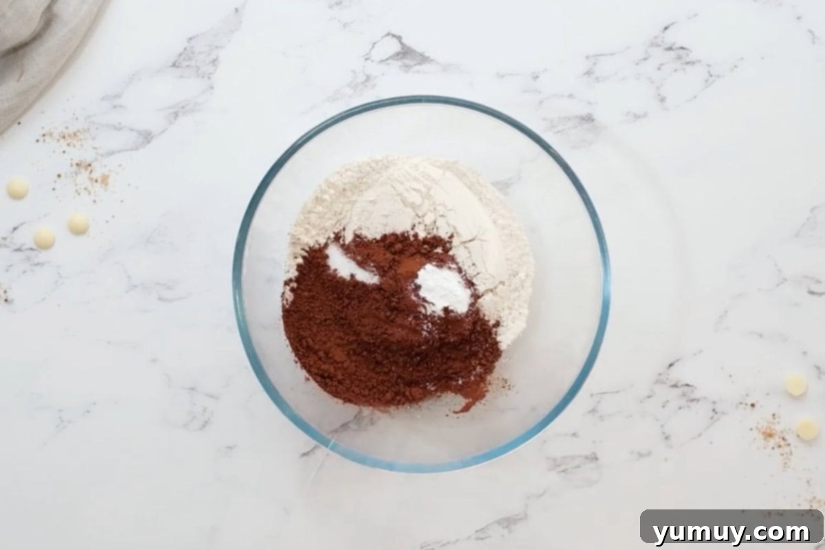 Flour, baking powder, and cocoa powder in a glass bowl, ready to be mixed.