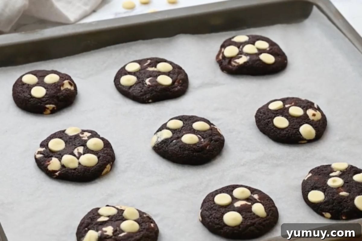 Freshly baked chocolate cookies with melted white chocolate chips, cooling on a wire rack.
