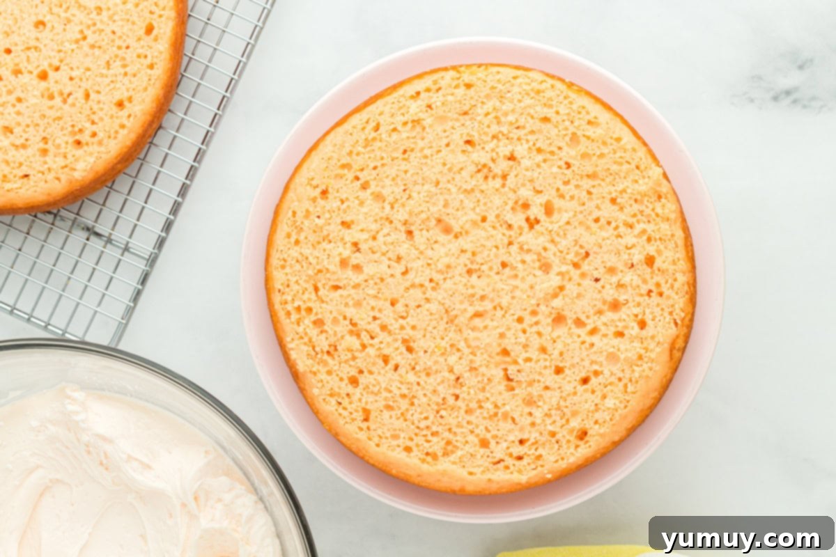 Vibrant Strawberry Lemon Cake 20 a leveled layer of pink lemonade cake on a cake stand.