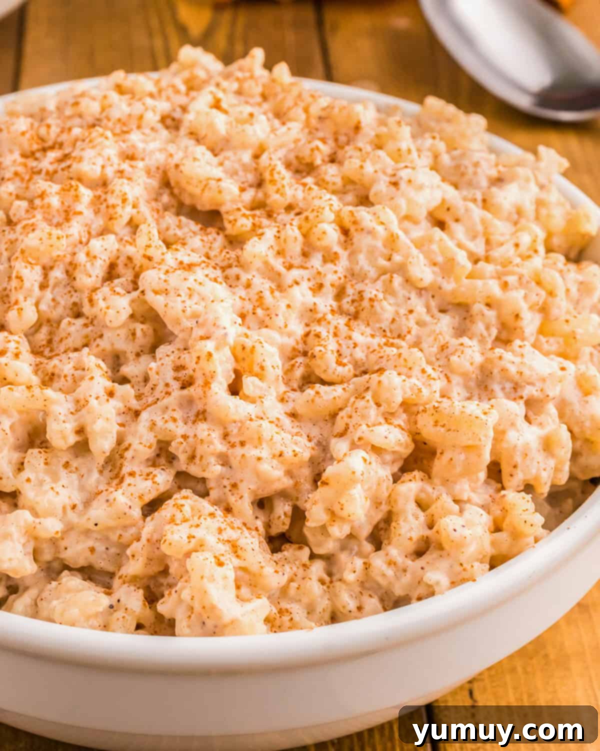 fluffy spiced rice pudding in a white bowl.