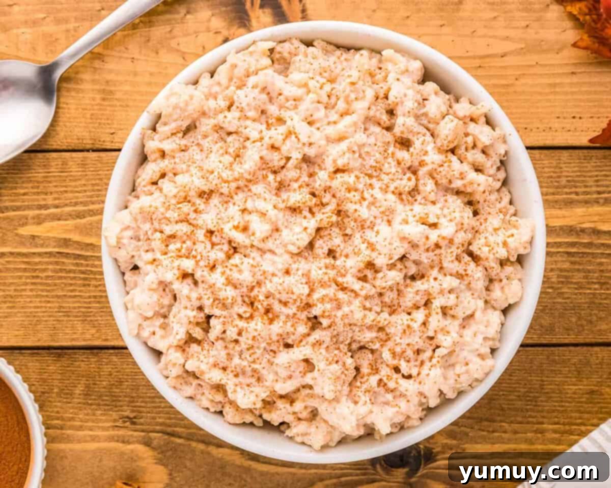 overhead view of freshly made rice pudding in a white bowl.