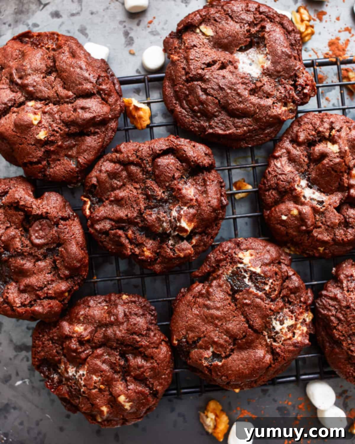 Overhead view of freshly baked rocky road cookies on a wire cooling rack, highlighting their rich chocolate color, visible marshmallows, and walnuts.