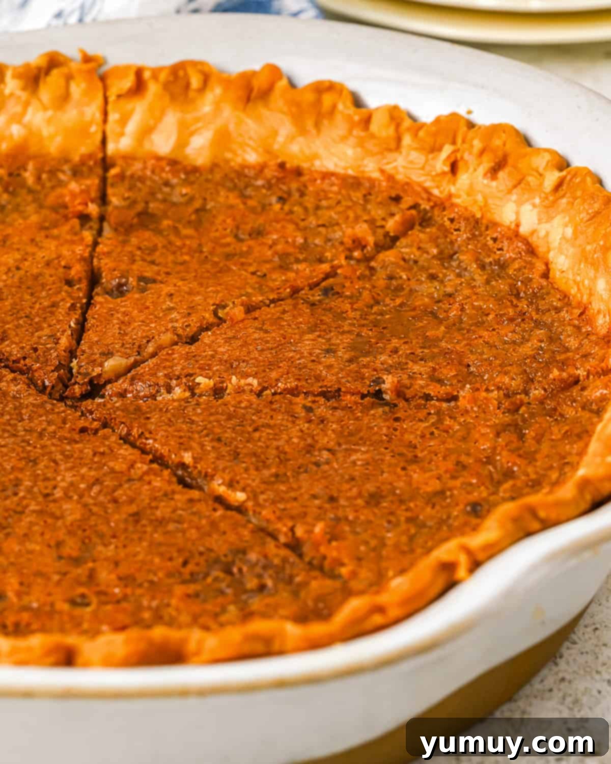 Vinegar Pie A Slice of Humble Pie: The Unexpected Delight 3 A partially sliced vinegar pie in a pie pan, revealing its smooth, custard-like filling and perfectly baked crust.