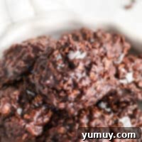 Nutella no bake cookies