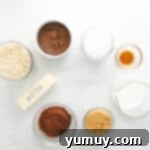 the ingredients for a chocolate granola recipe on a white background.