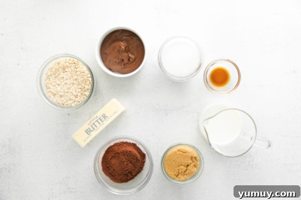 the ingredients for a chocolate granola recipe on a white background.