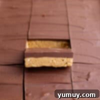 Peanut Butter Dream Bars 4 peanut butter bars with a bite taken out of them.