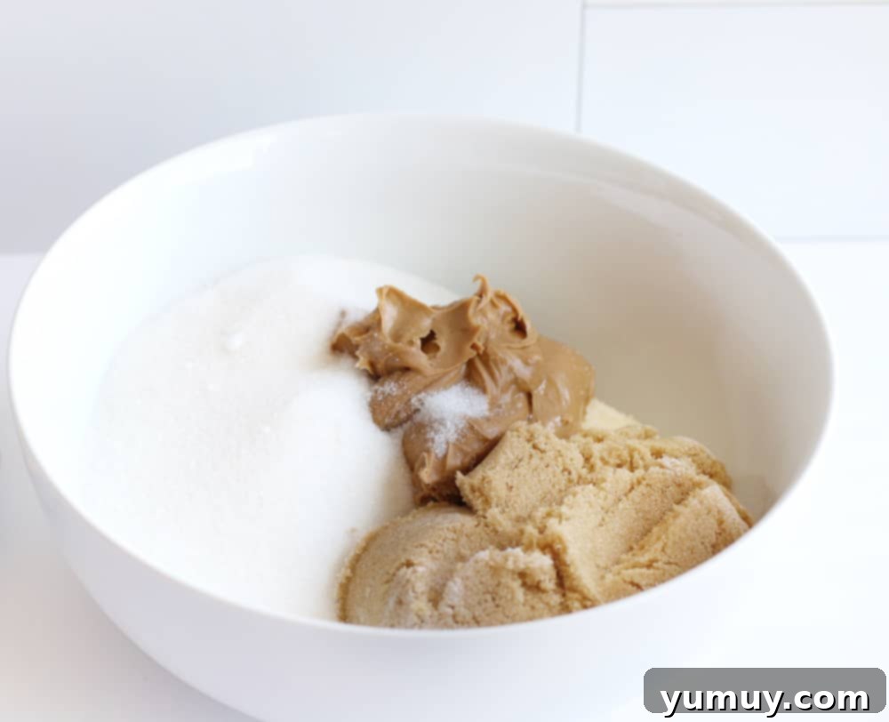 The perfectly mixed dry ingredients in a large mixing bowl.