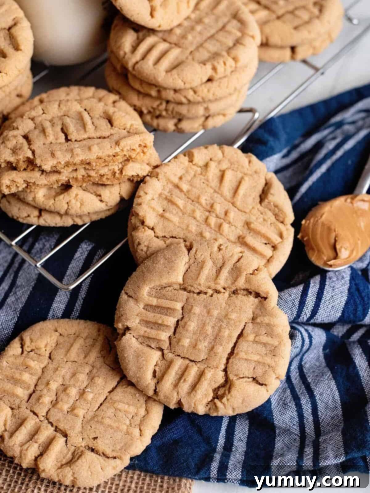 stacks of peanut butter cookies spread across a countertop and cooling rack.