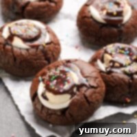 hot chocolate cookies featured image 2