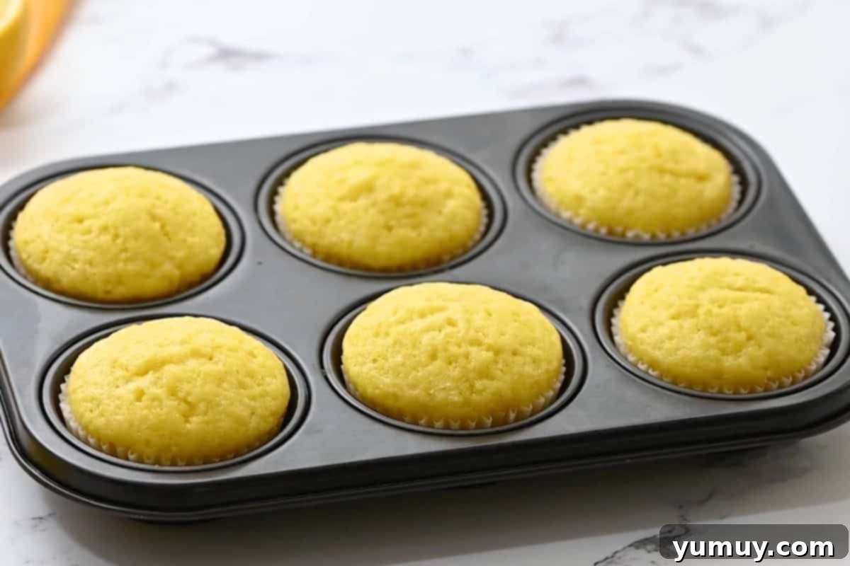 freshly baked lemon cupcakes in a cupcake tin.