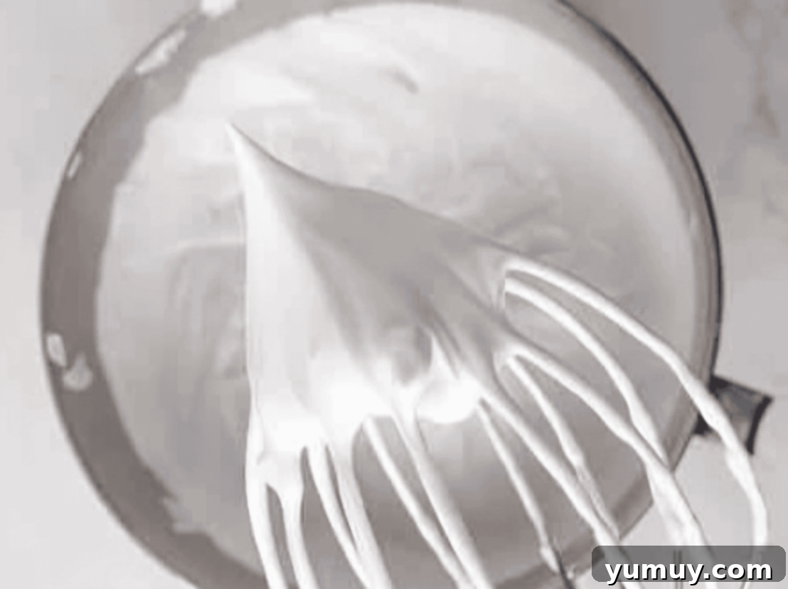 A stiff peak of meringue clinging firmly to a wire whisk, indicating ideal consistency.