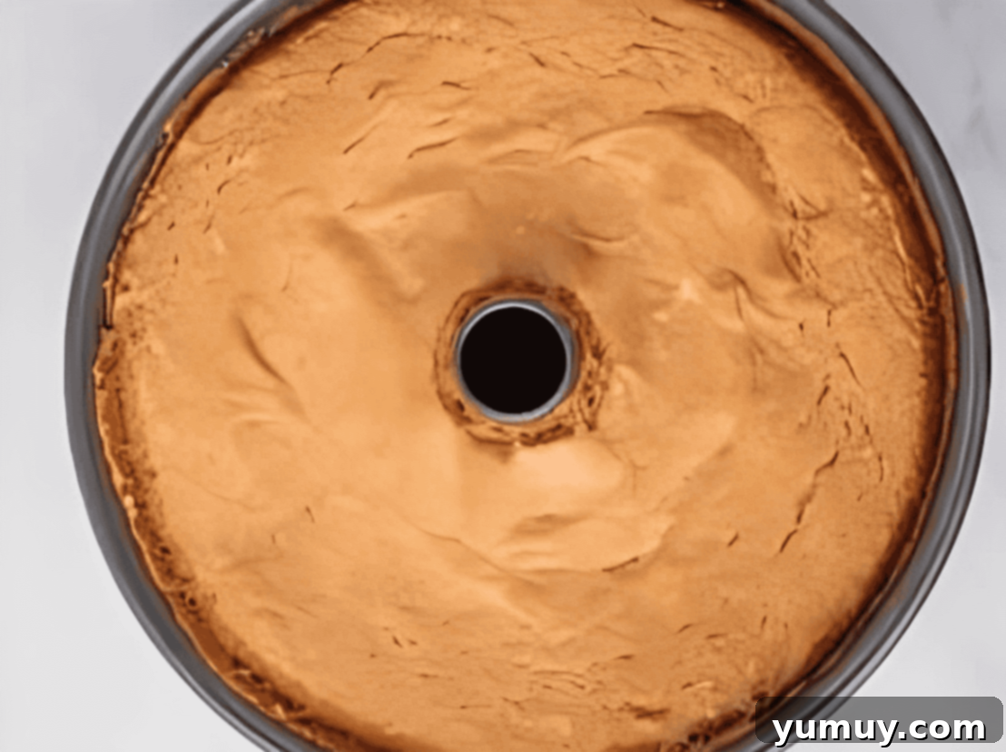 A golden brown, baked lemon angel food cake still in its tube pan, just removed from the oven.