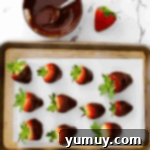 chocolate dipped strawberries on a baking sheet.