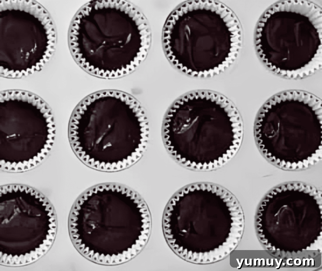 chocolate cupcake batter in a cupcake tin.