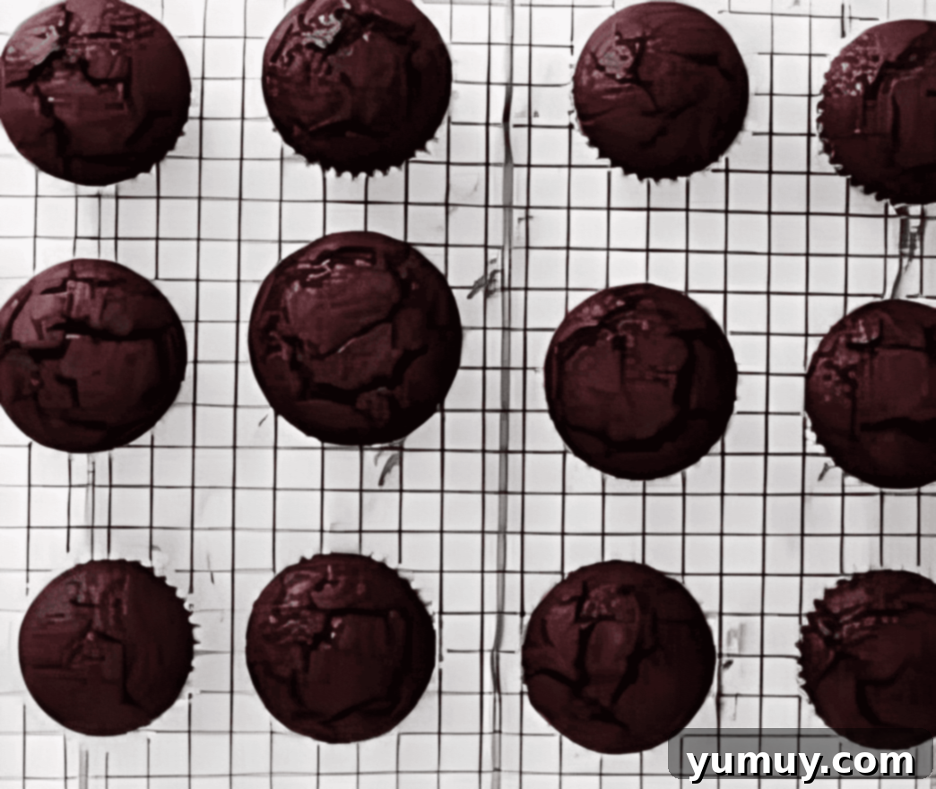 baked chocolate cupcakes on a wire rack.