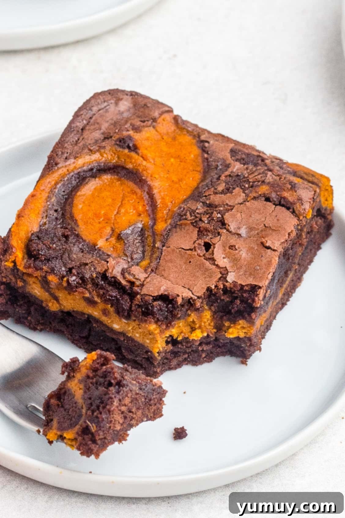 up close swirled pumpkin brownie on white plate