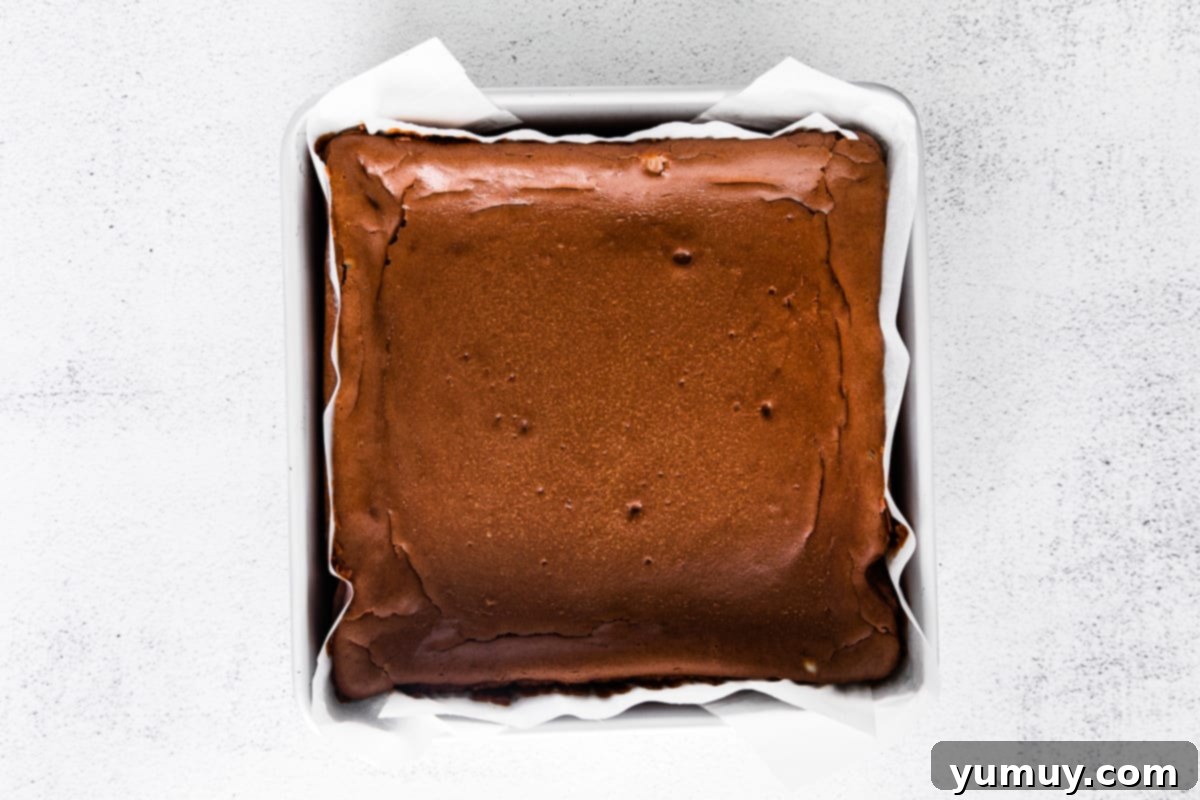 Baked chocolate cheesecake bars in the oven