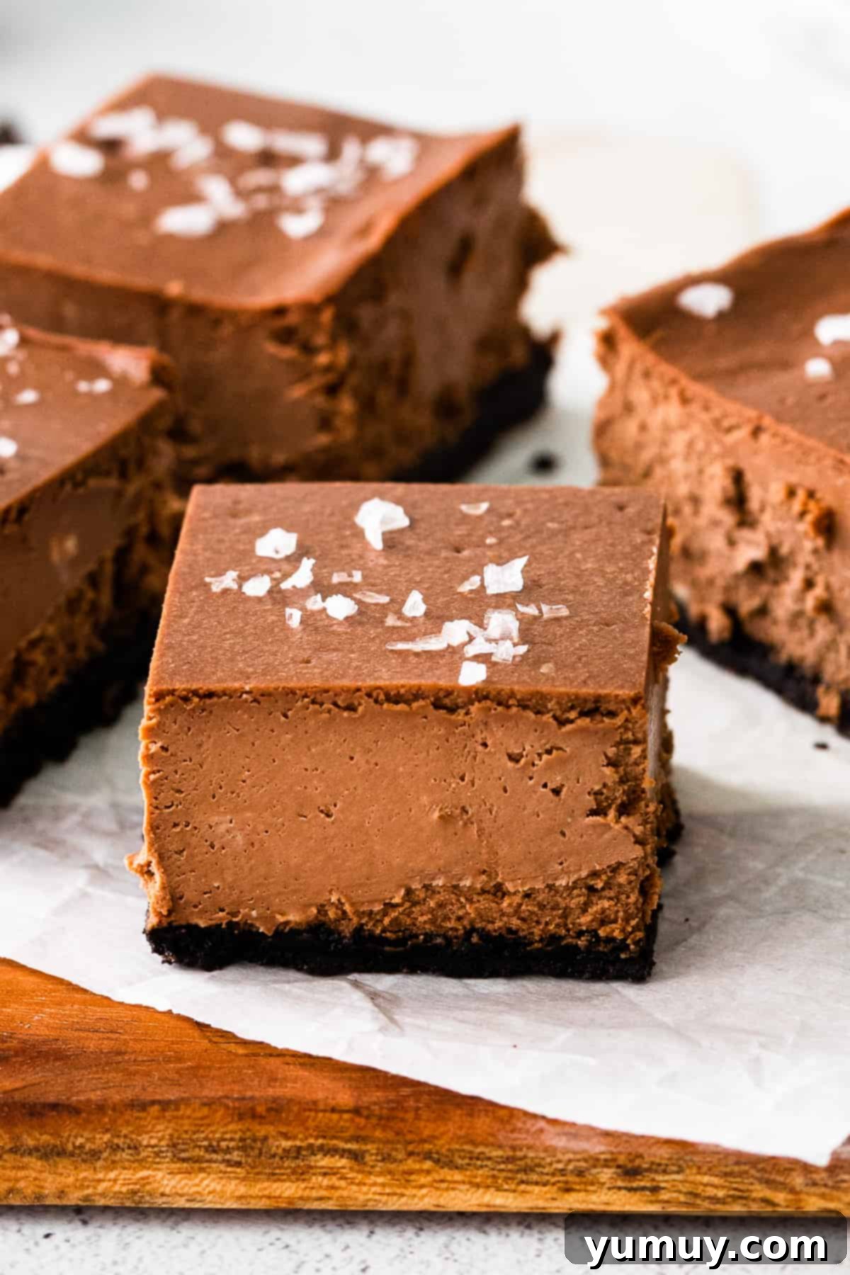 Close-up of chocolate cheesecake bars arranged beautifully on a serving tray