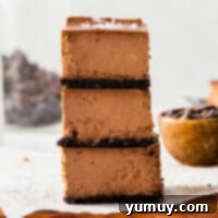 Featured image of delectable chocolate cheesecake bars ready to be served