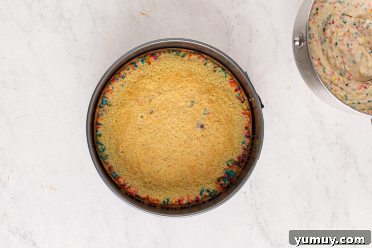 how to make funfetti cheesecake