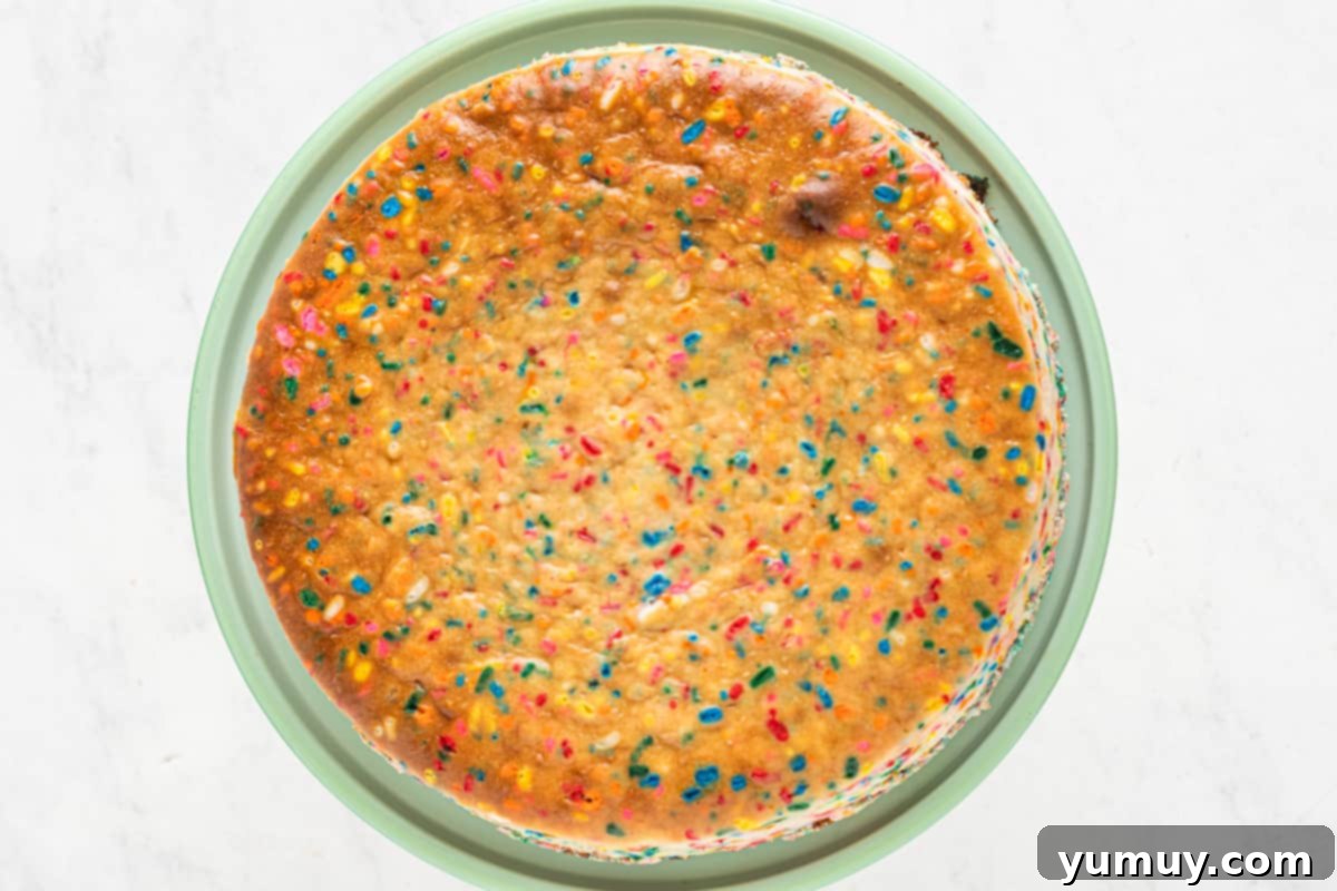 how to make funfetti cheesecake