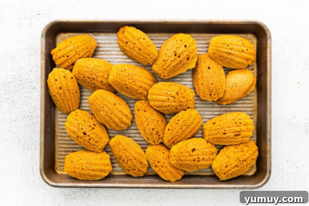 Freshly baked pumpkin madeleines, golden brown with prominent humps, cooling on a wire rack after being removed from the pan.