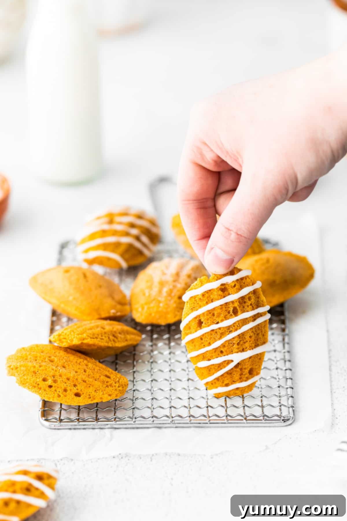 A collection of freshly baked pumpkin madeleines neatly arranged on a cooling rack, ready to be enjoyed.
