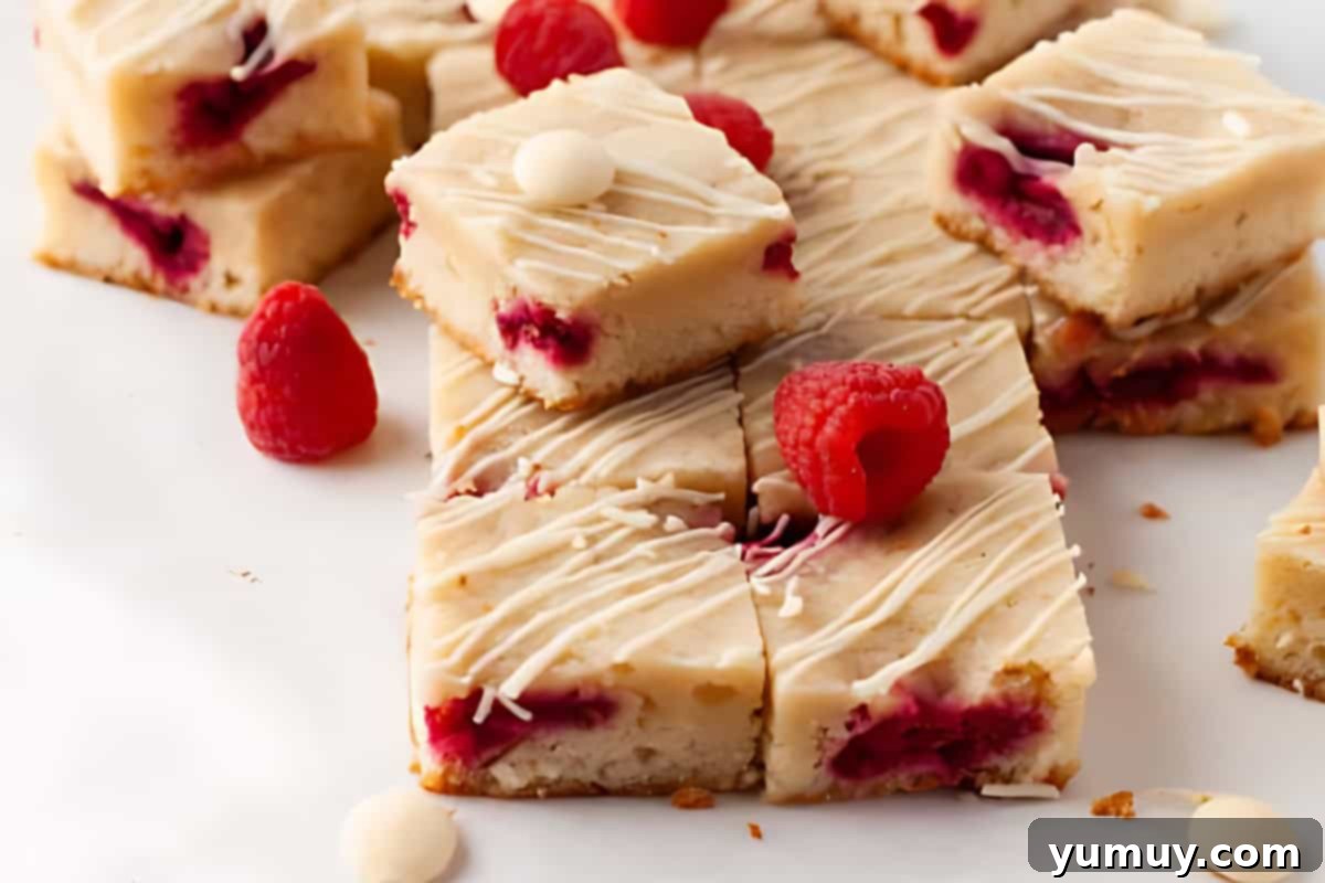 Raspberry Bliss Blondies 13 Cut raspberry blondies drizzled with white chocolate, showcasing their delicious and visually appealing finish.